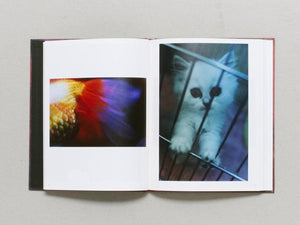 Self Image - Antenne Books