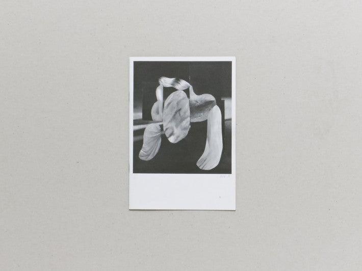 Fruits of Yesterday's Harvest - Antenne Books