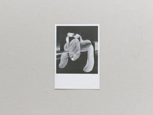 Fruits of Yesterday's Harvest - Antenne Books