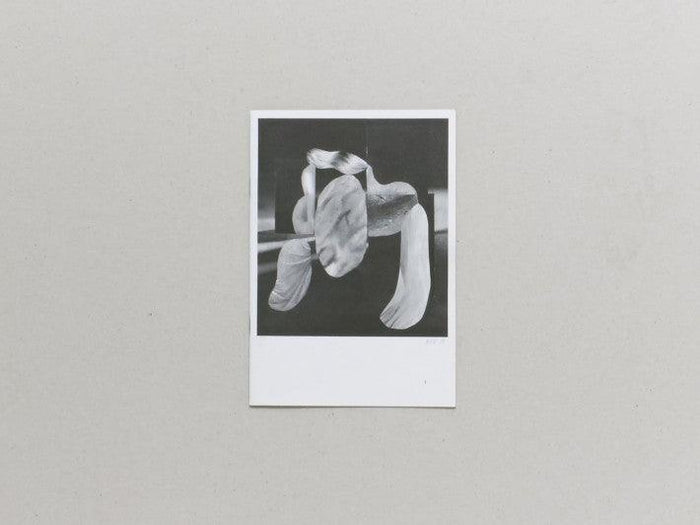 Fruits of Yesterday's Harvest - Antenne Books