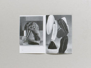 Fruits of Yesterday's Harvest - Antenne Books