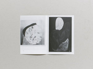 Fruits of Yesterday's Harvest - Antenne Books