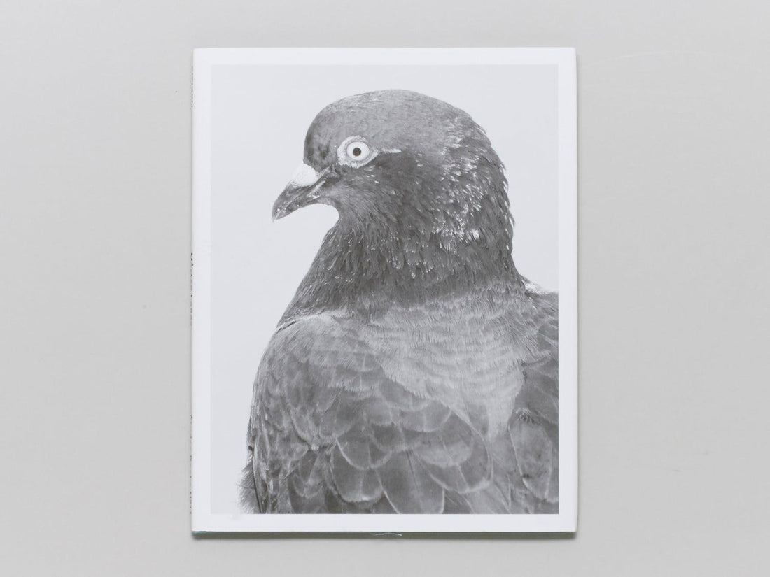 Citizen - Antenne Books