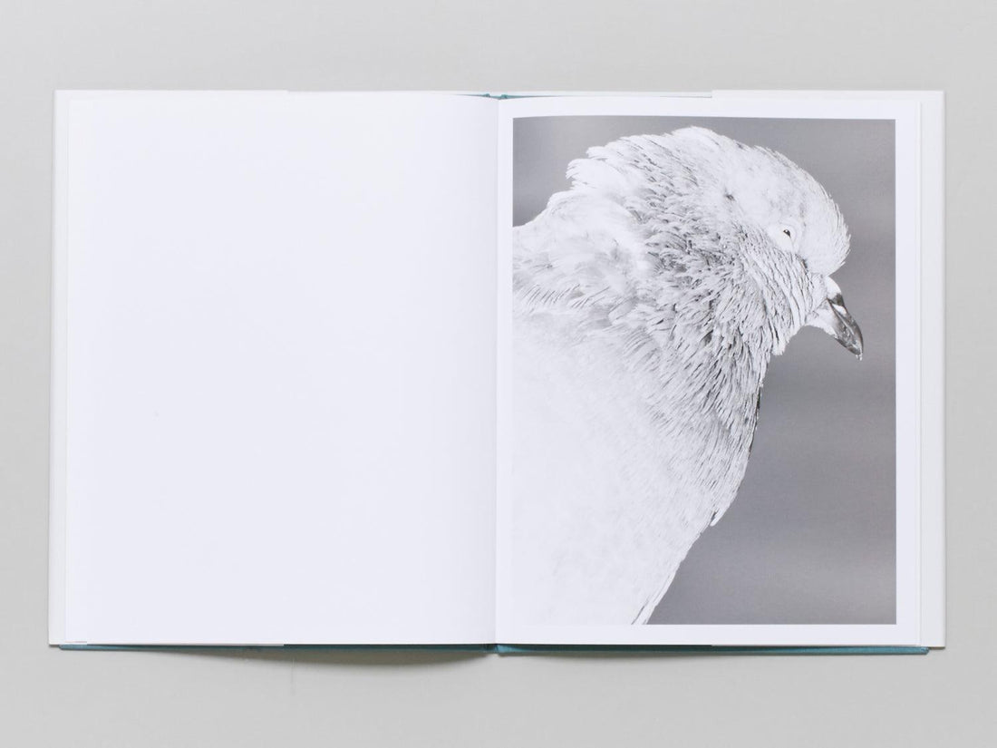 Citizen - Antenne Books