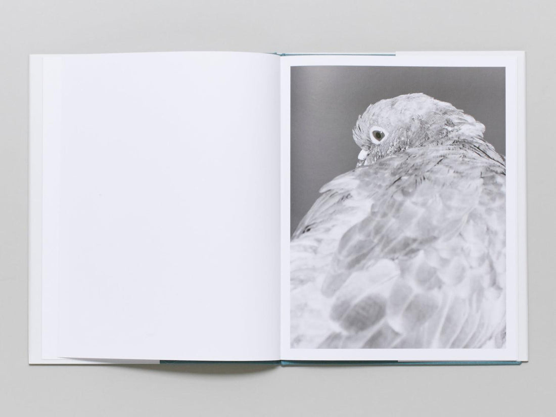 Citizen - Antenne Books