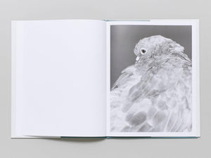 Citizen - Antenne Books