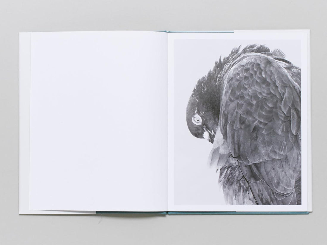 Citizen - Antenne Books