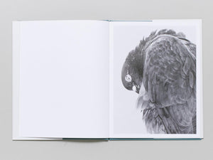 Citizen - Antenne Books