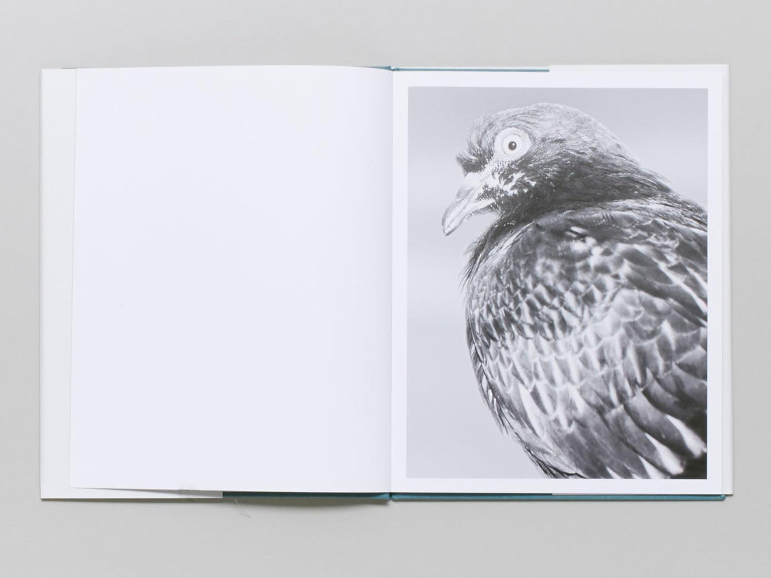 Citizen - Antenne Books