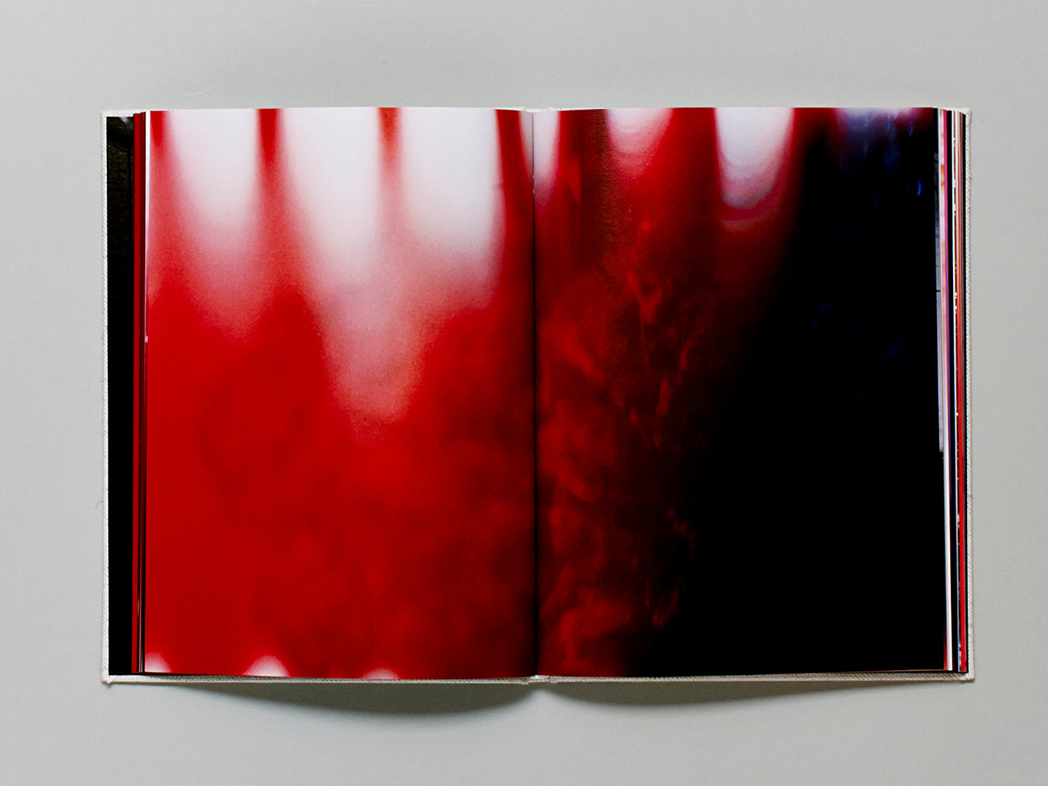 Mark Borthwick Abandom Reverie ＆ zine 【公式通販】