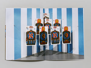 Paintings Objects Installations