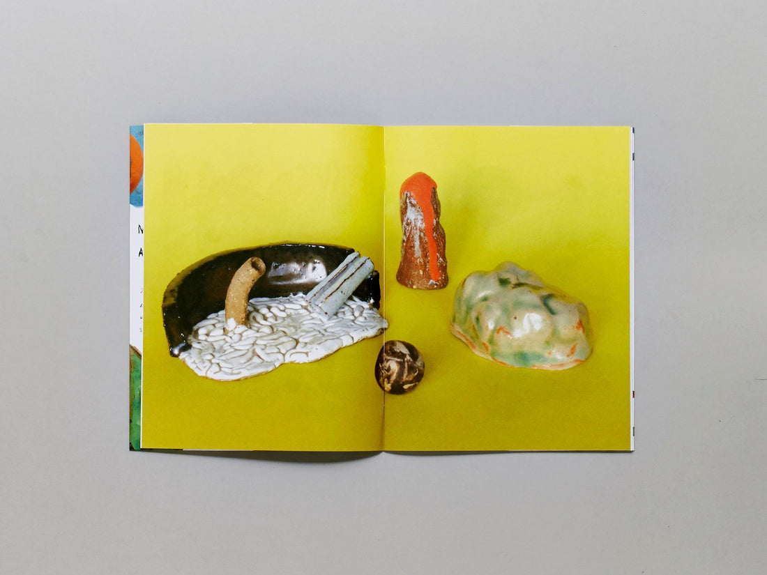 METAMORPHOSIS - Antenne Books