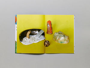 METAMORPHOSIS - Antenne Books