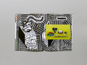 METAMORPHOSIS - Antenne Books