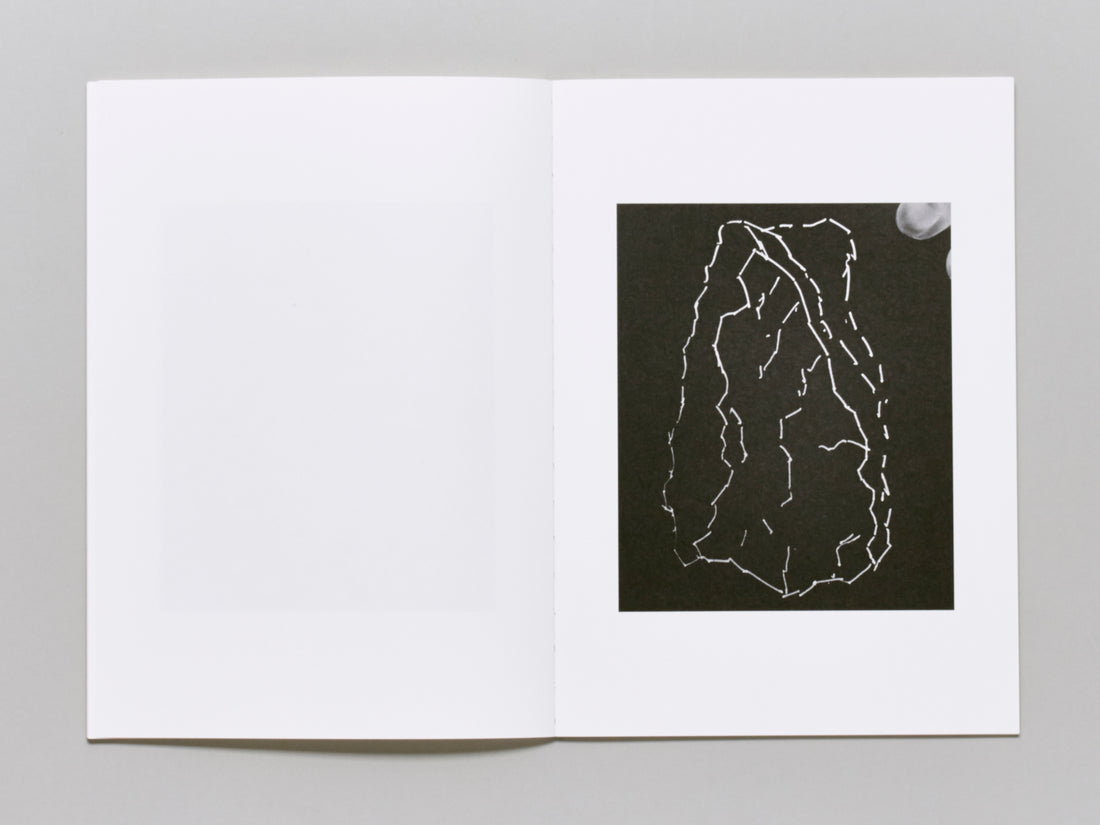 Blind Landing Experimental Unit