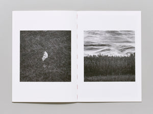 Blind Landing Experimental Unit