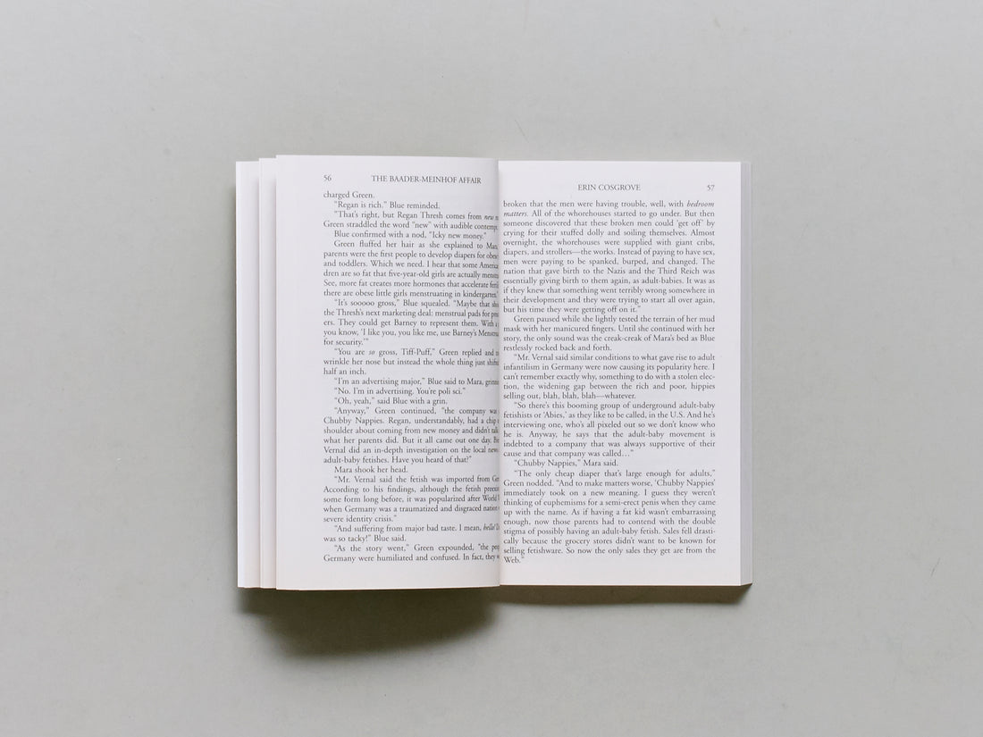 The Baader-Meinhof Affair