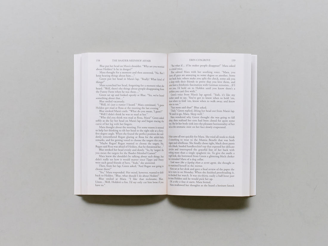 The Baader-Meinhof Affair