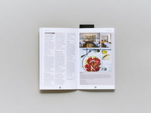 Carl Goes Berlin - Antenne Books