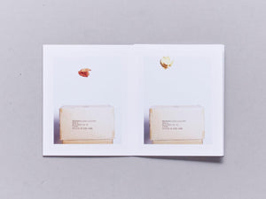 R O Y G B I V - Antenne Books