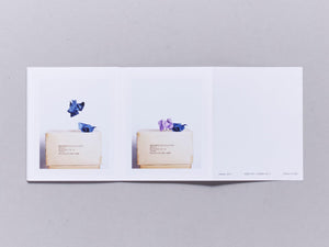 R O Y G B I V - Antenne Books