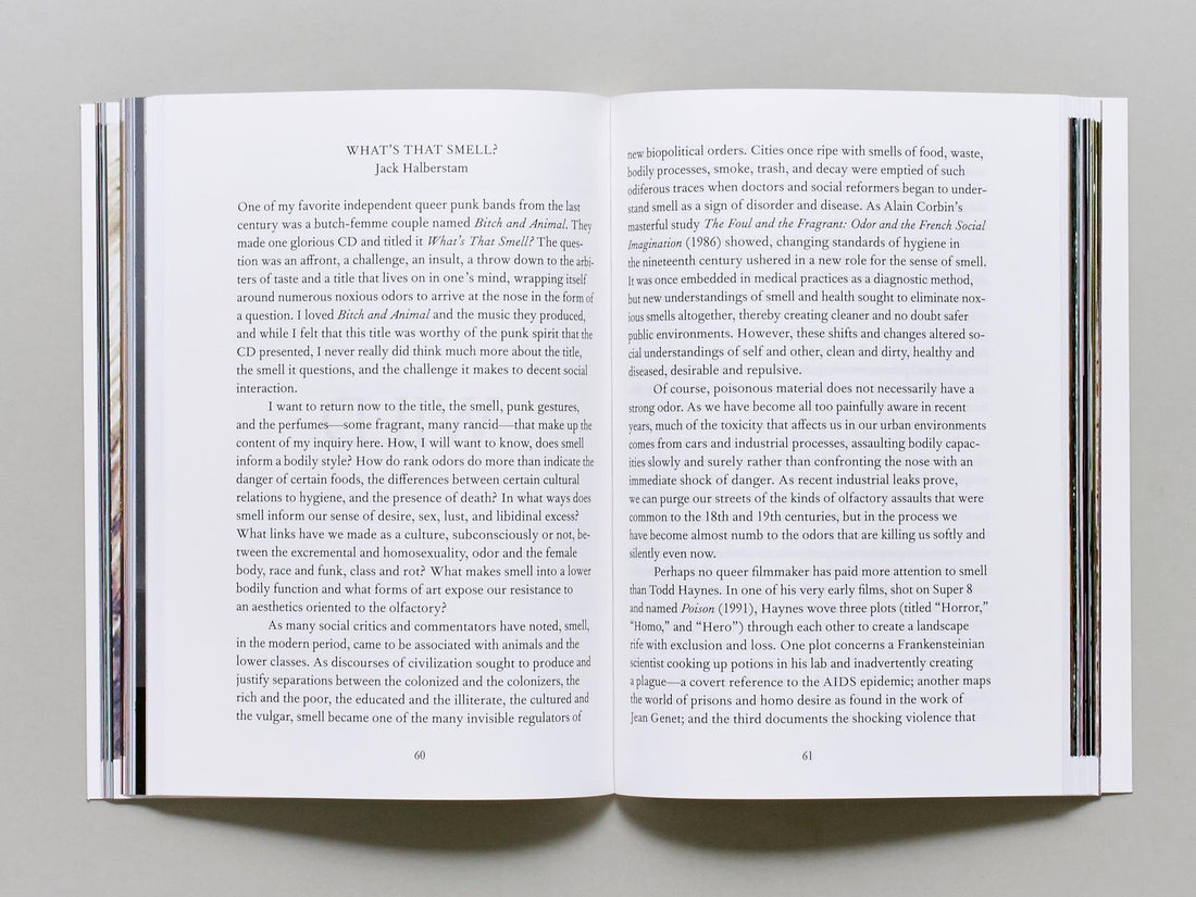 Paradise Paradoxe - Antenne Books