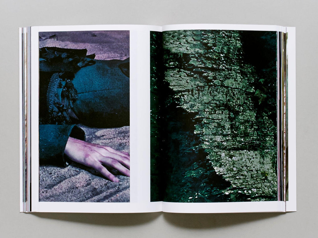 Paradise Paradoxe - Antenne Books