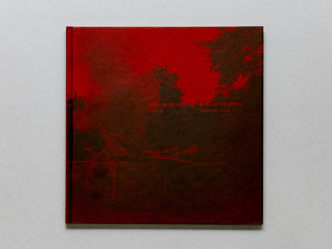 Burn After Seeing - Antenne Books