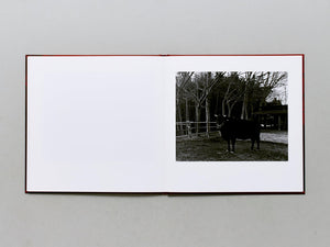 Burn After Seeing - Antenne Books