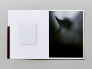 Unfinished Topography / Collection