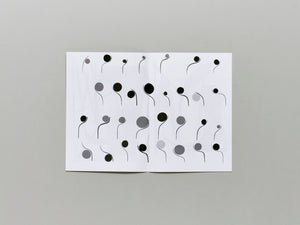 The Inexhaustible Middle