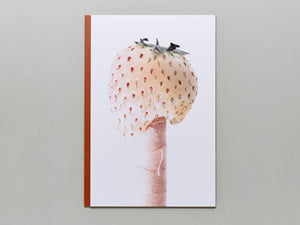 Separate Hidden Rules