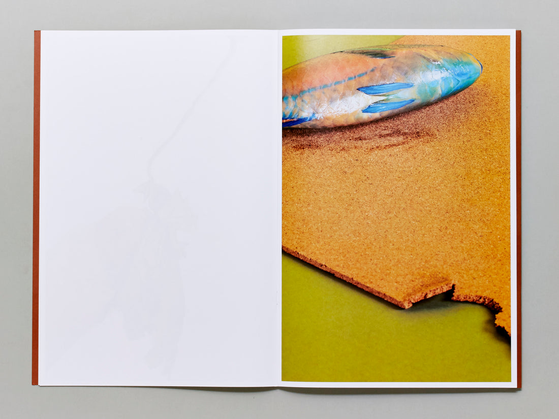 Separate Hidden Rules