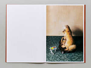 Separate Hidden Rules