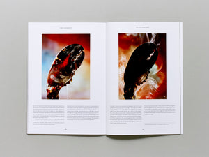 The Gourmand Issue 9