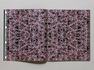 Paint & Polish - Antenne Books