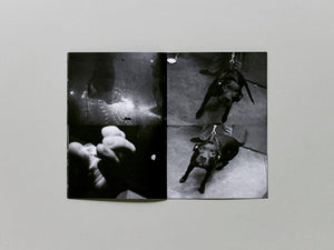 Stamina - Antenne Books