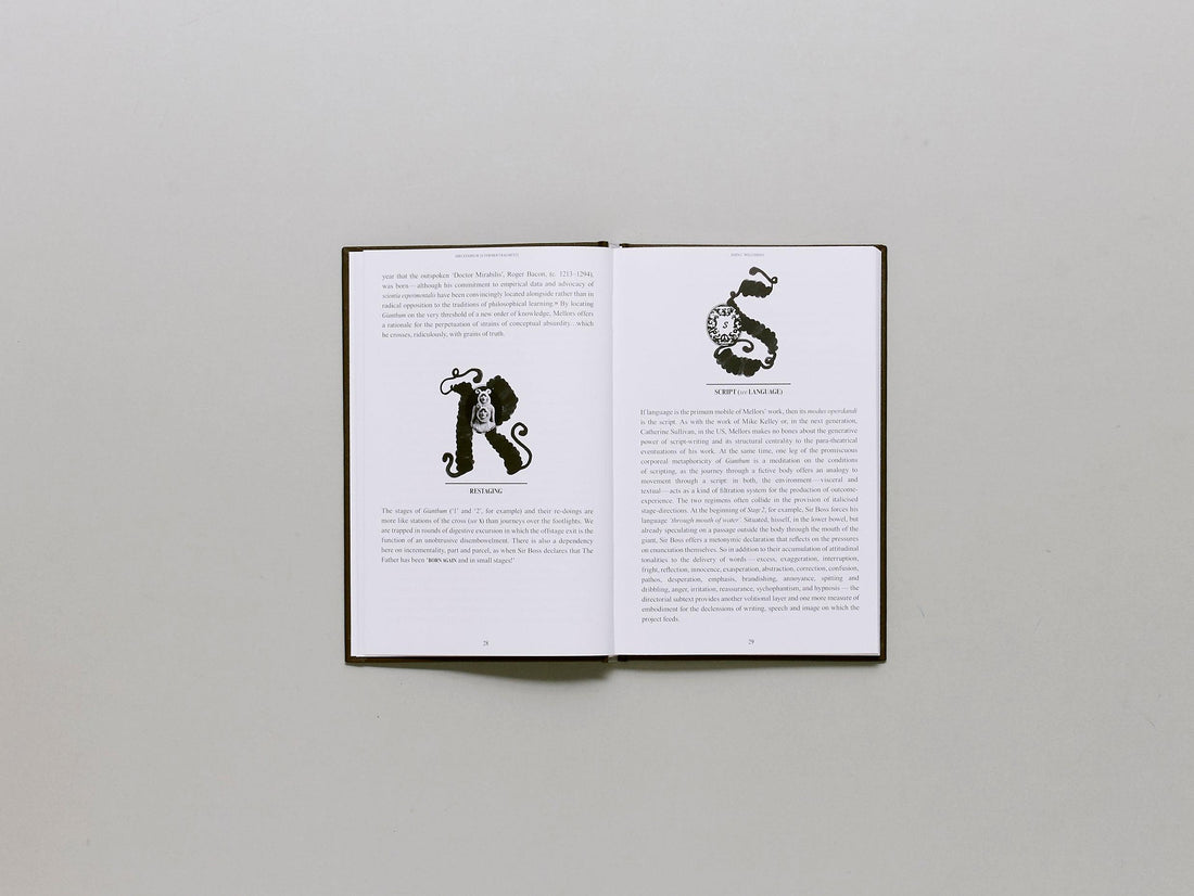 Book A or Megacolon or For & Against Language - Antenne Books