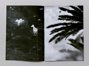 Two Donkeys in a War Zone - Antenne Books