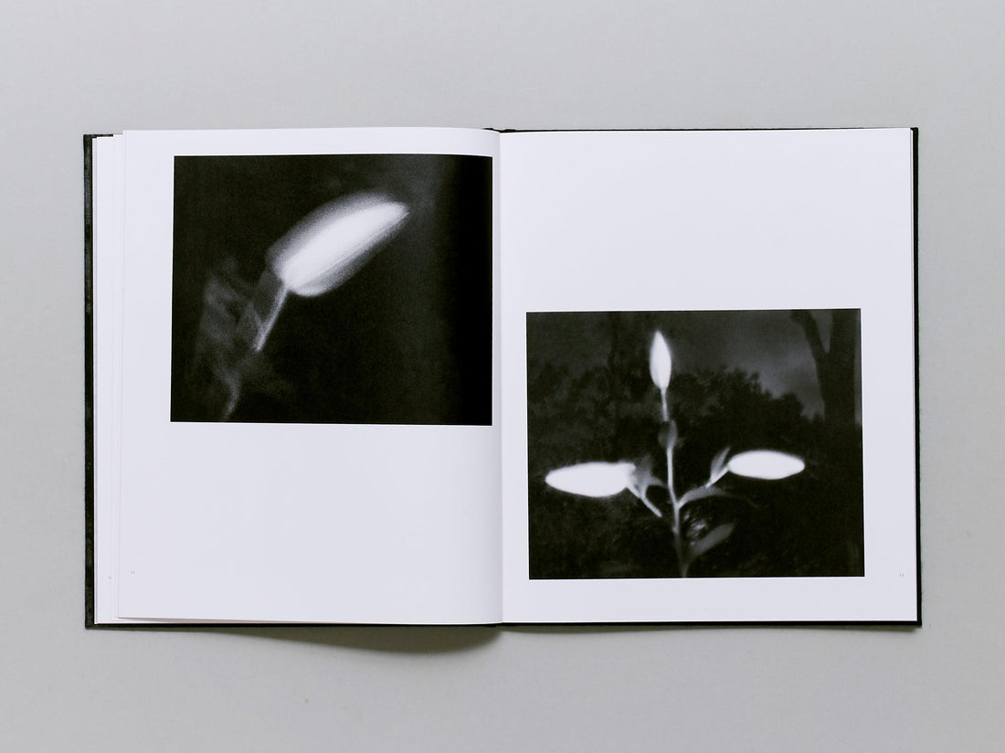 Go To Become - Antenne Books