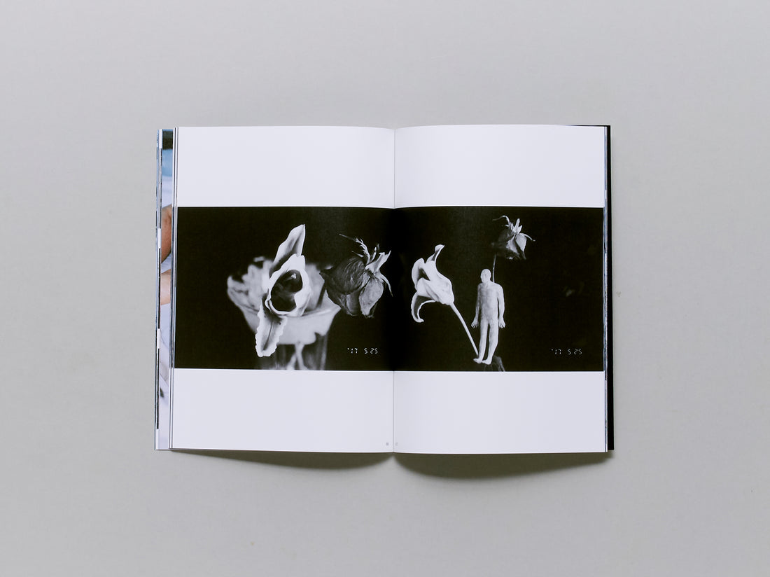 Photographoary: Photo-Mad Old Man A Turning 77 on 5.25.17