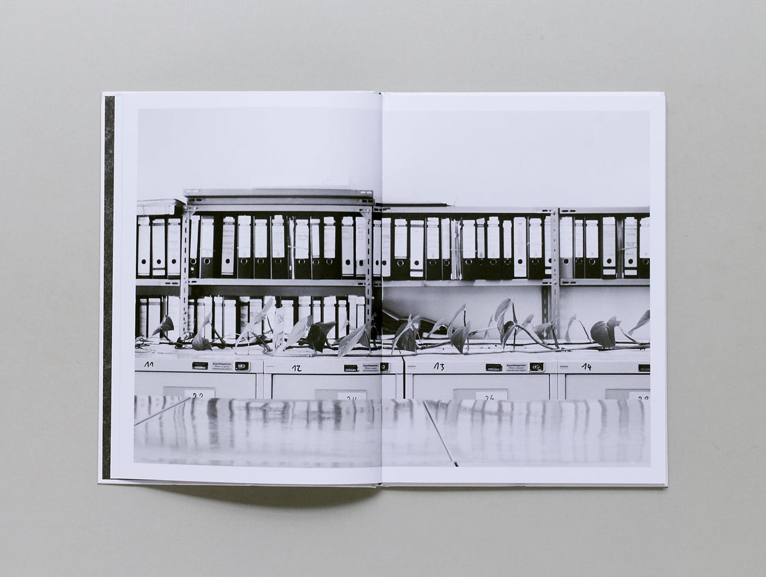 B√ºropflanze (office plant) - Antenne Books