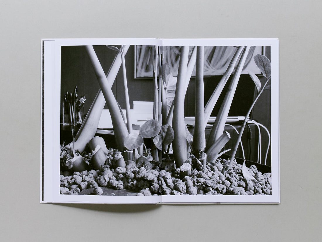 B√ºropflanze (office plant) - Antenne Books