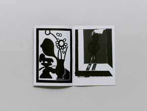 Des Mini Monstres Peuplent Le Léman