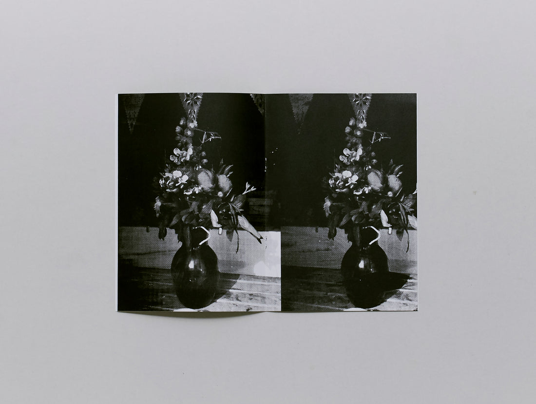 Des Mini Monstres Peuplent Le Léman