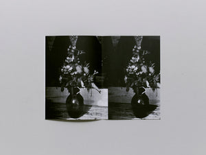 Des Mini Monstres Peuplent Le Léman