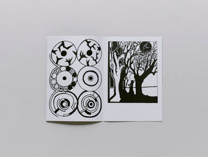 Des Mini Monstres Peuplent Le Léman