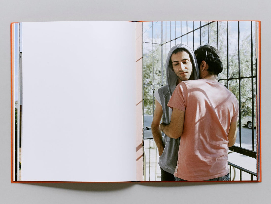 There Are No Homosexuals in Iran - Antenne Books