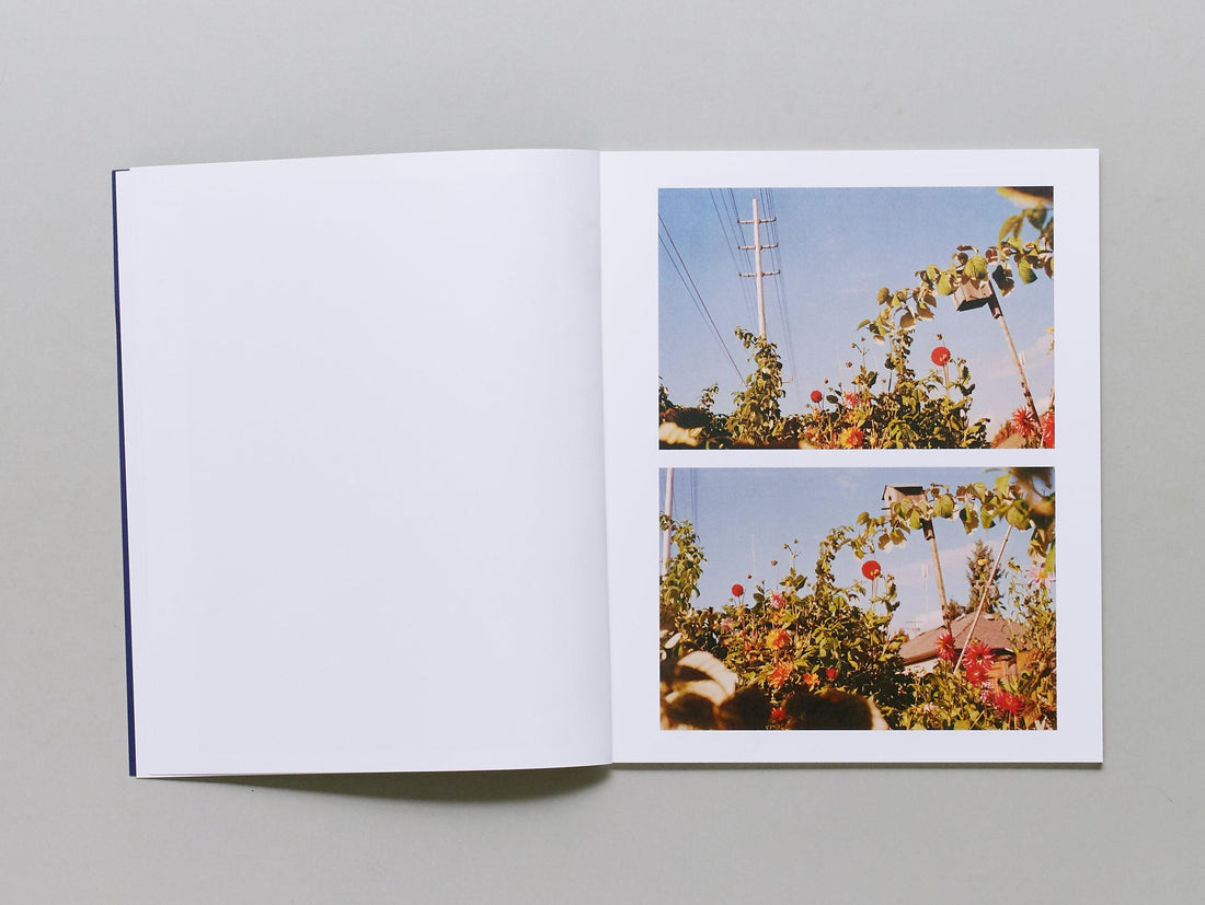 Gates to the Garden - Antenne Books