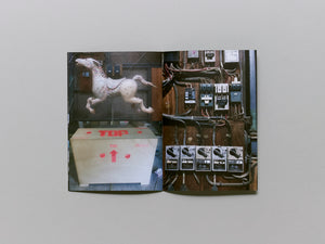 Still Pushing Despite the Odds